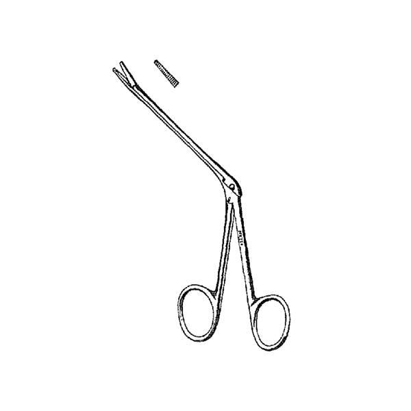 Forcep Alligator Noyes 6-1/2