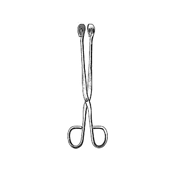 Utility Forceps 8 in Ea