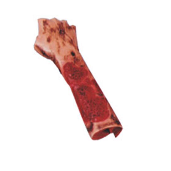 Moulage Training 2nd \u0026 3rd Degree Burn of Forearm Each