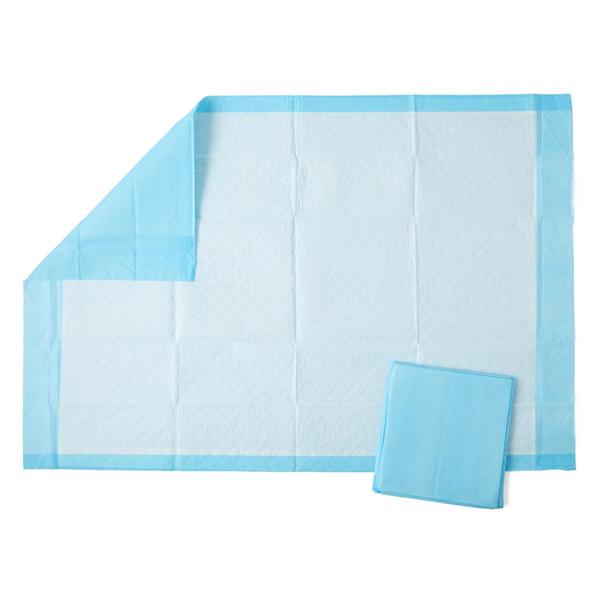 Underpad Protection Plus Unisex Economy 23x36