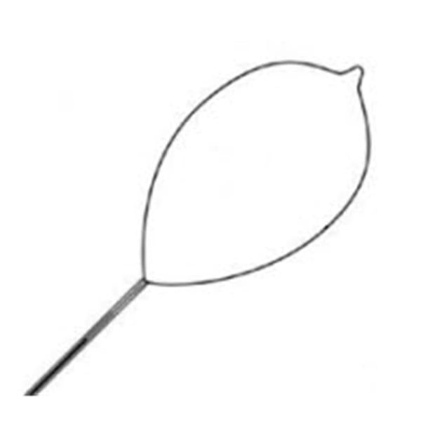 Snare Polypectomy Singular Soft Loop Wire Oval Medium 10/Ca