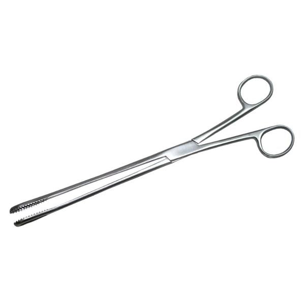 Forcep Ovum Boston 13-1/2