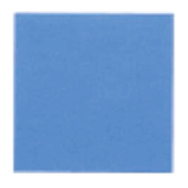 Filter Square With Indicator Dot For SterilContainer Systems 1000/Bx