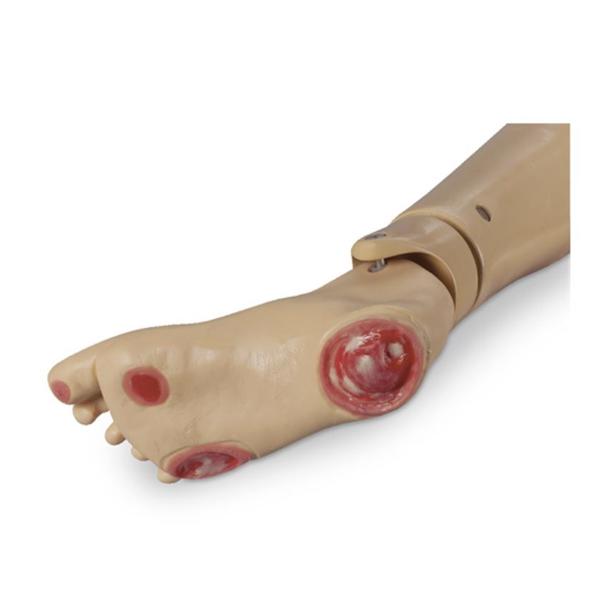 Optional Pressure Ulcer Foot Simulator Training Life/form Each