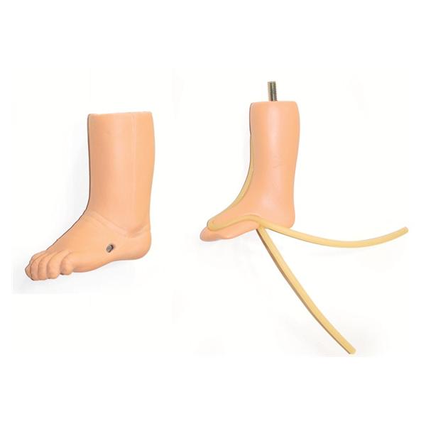 Leg IV Training Infant Ea