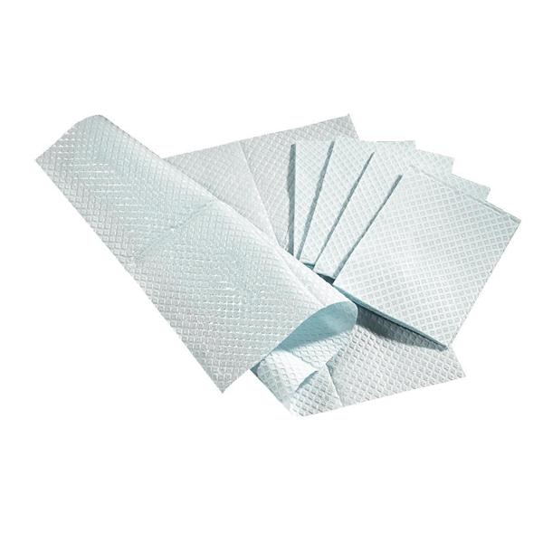 Towel Professional Blue 13 in x 18 in 500/Ca