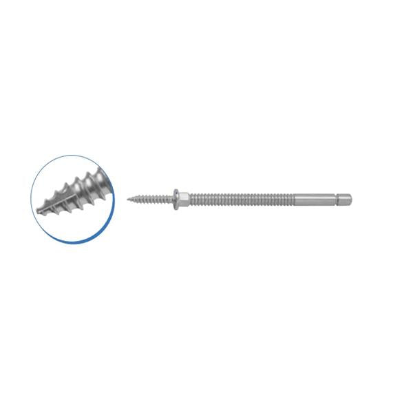 Pin Orthopedic Casper 14mm 10/Bx