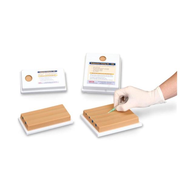 Venipuncture Model Training 5/Pk