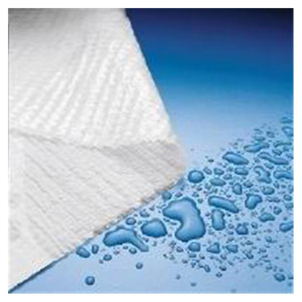 Towel Patient Plasbak 13.5 in x 18 in Blue 2 Ply Tissue / Poly 500/Ca