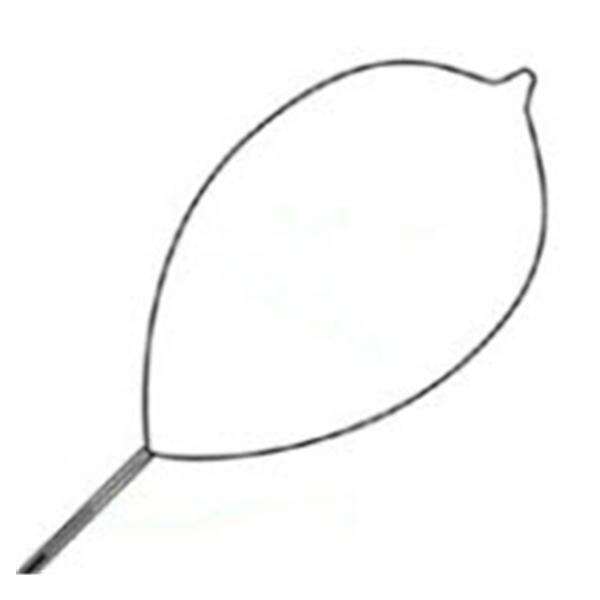 Snare Polypectomy Optimizer Firm Loop Wire Oval Medium 10/Ca