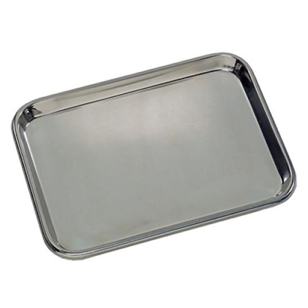 Tray Instrument Stainless Steel 17-1/8x11