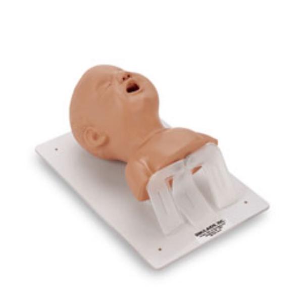 Head Manikin Training Airway Intubation Infant Ea