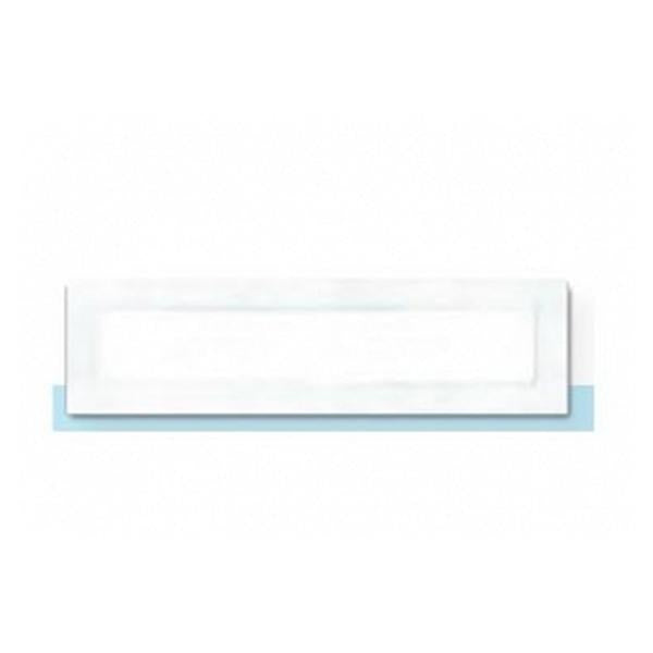 Bandage Bioguard 4x8