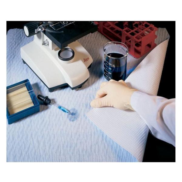 Underpad Fisherbrand Unisex Small 20x24\