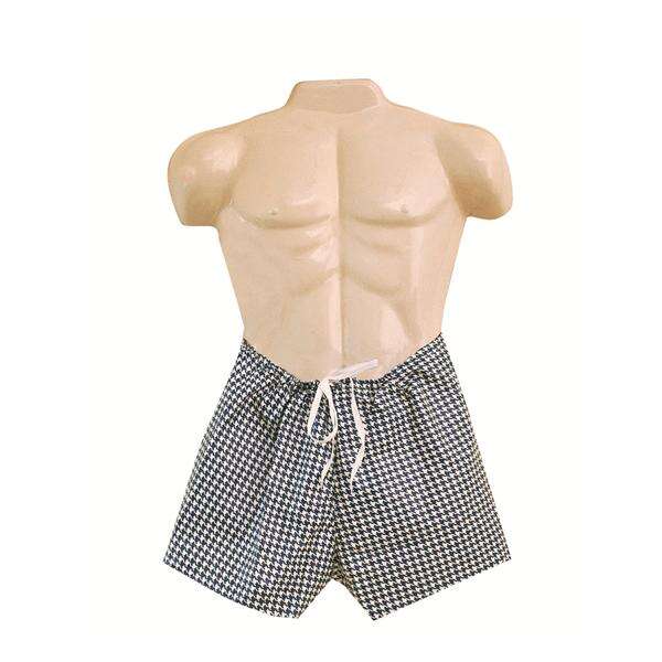 Swimwear Boxers Dipsters Medium 12/BX